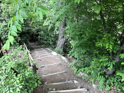 4号路の山道