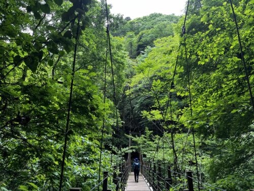 高尾山のつり橋