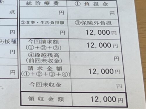帯状疱疹ワクチンの領収書